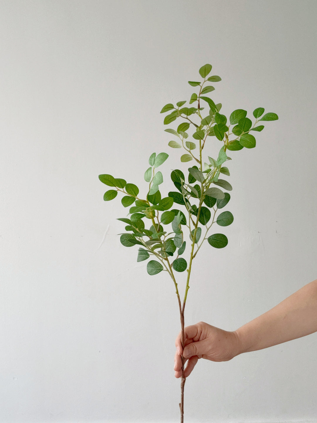 Faux Green Chinese Fringe Flower Branch