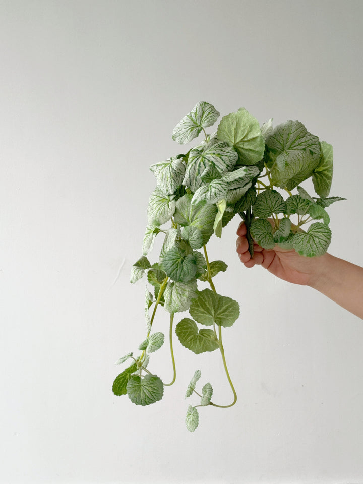 Faux Strawberry Begonia Vine