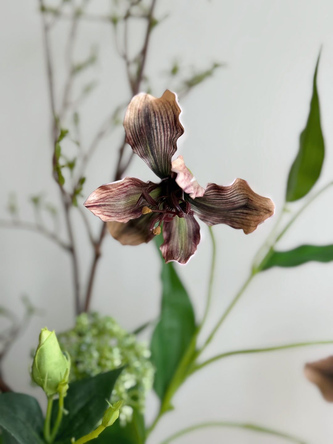 Woodland Muse in the Vase (1-sided)