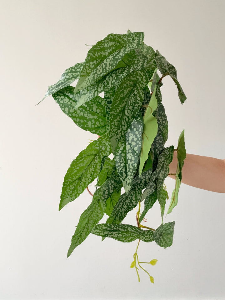 Faux Polka Dot Begonia Vine - 48cm