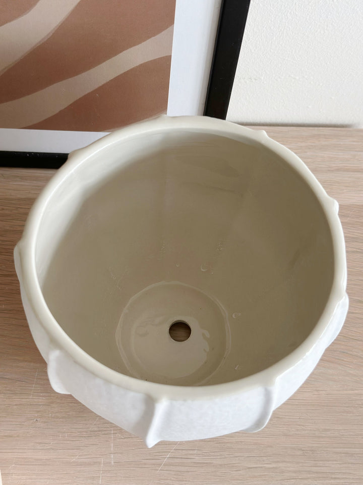 Coco Husk Flowerpot