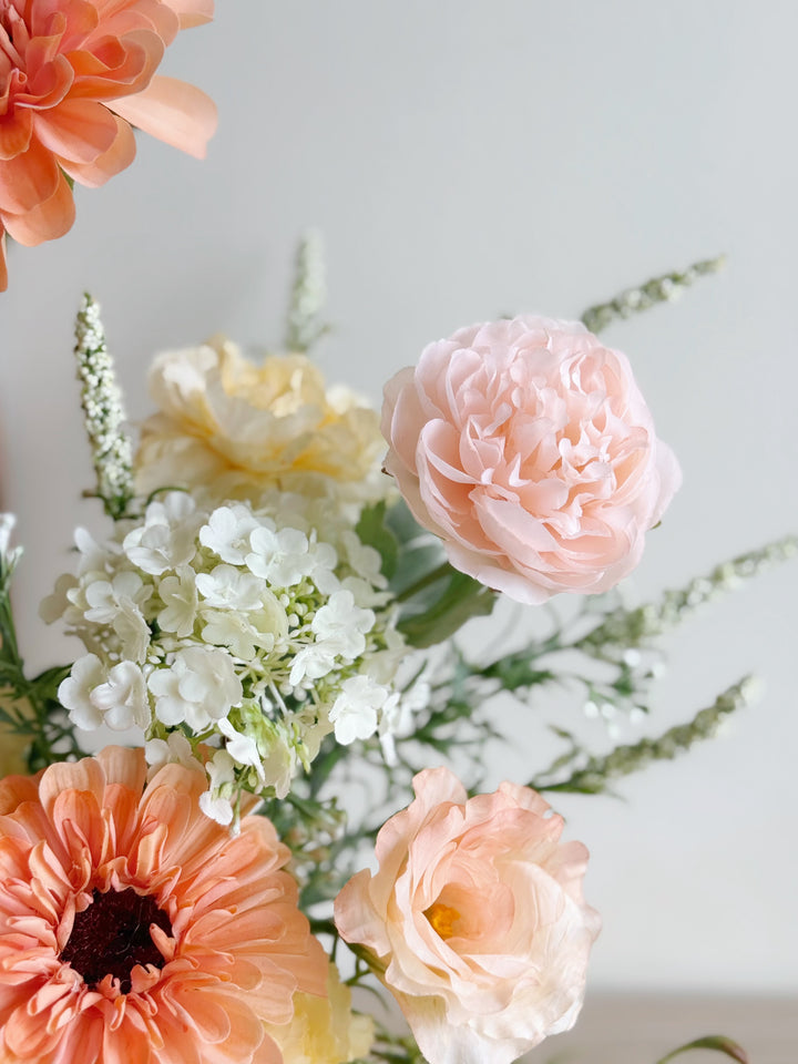 Apricot Daydream in the Pot (1-sided)