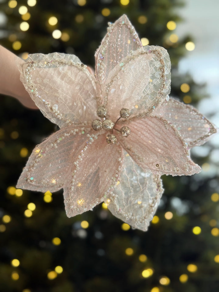 PRE-ORDER (19-23 Oct): Sheer Shimmer Poinsettia Collection (2 colours)