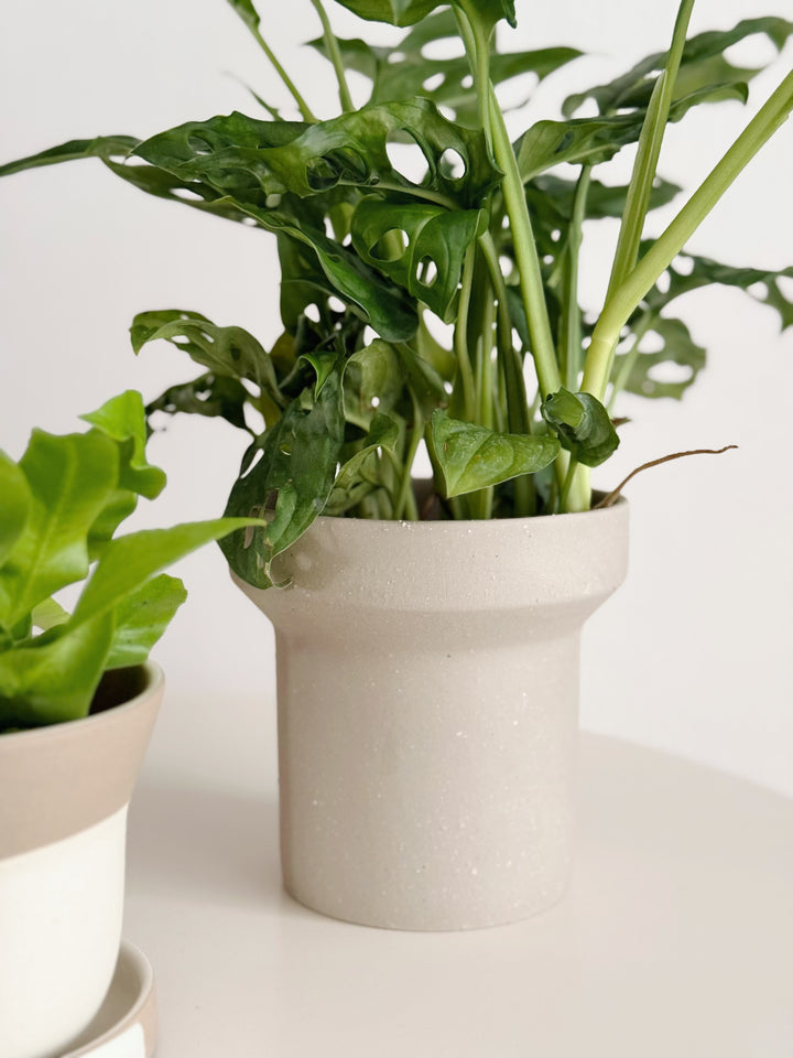 Ash Form Planter