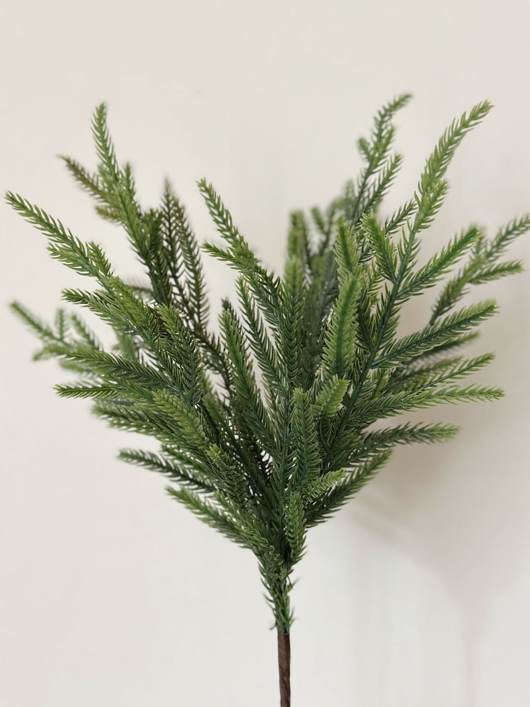 Everpine Botanical Stem