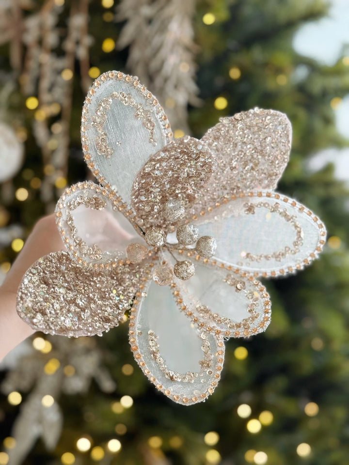 Champagne Radiance Petal Bloom