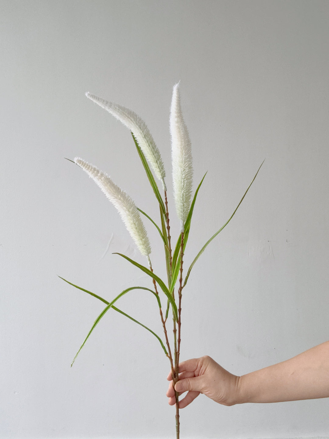 Faux Foxtail Grass Spray (3 colours)