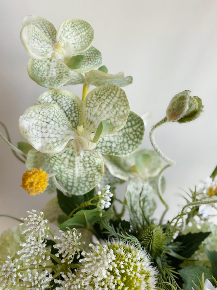 Verdant Poise Bloom in the Pot (1-sided)