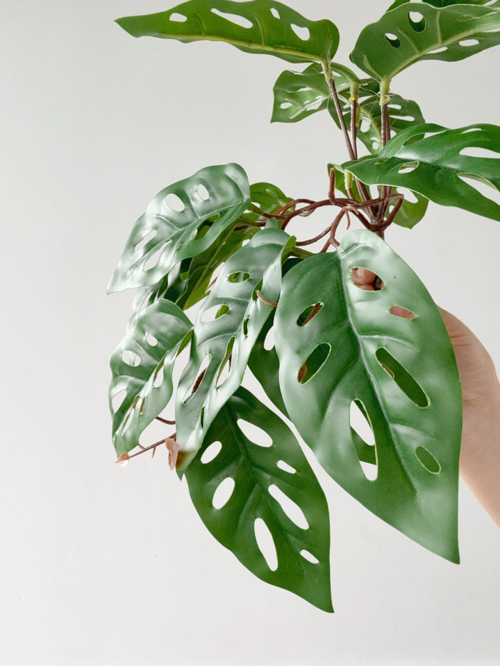 Faux Monstera Adansonii Vine