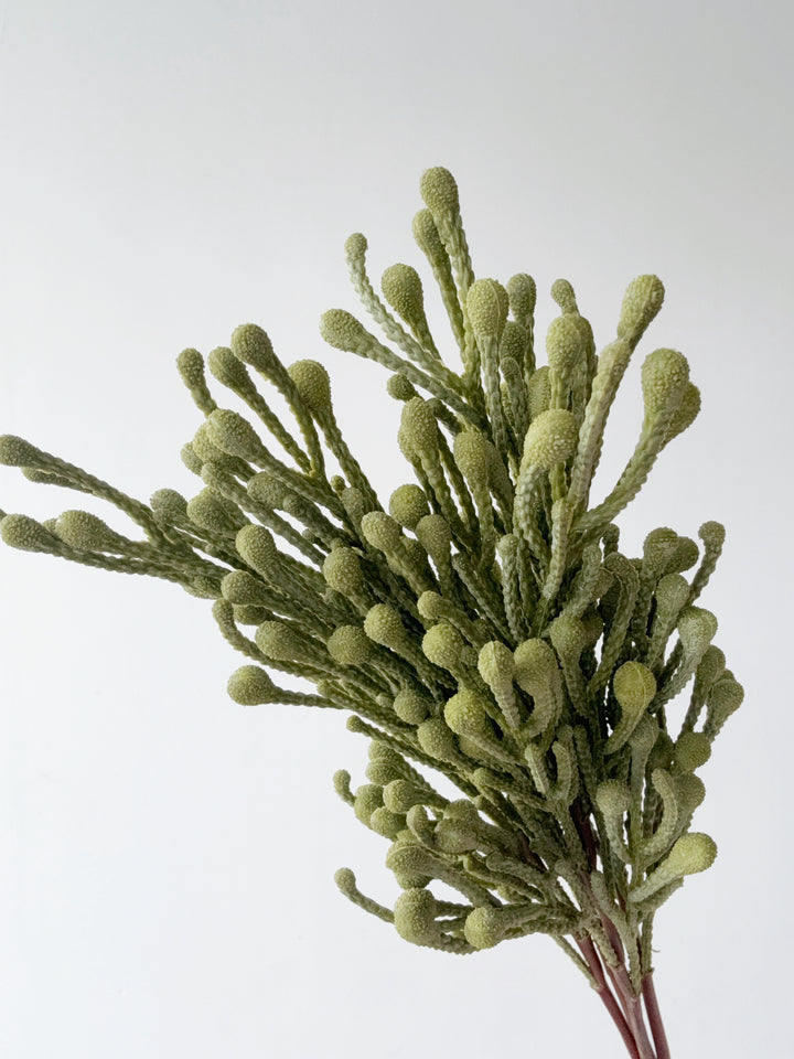 Spray Brunia Faux Branch