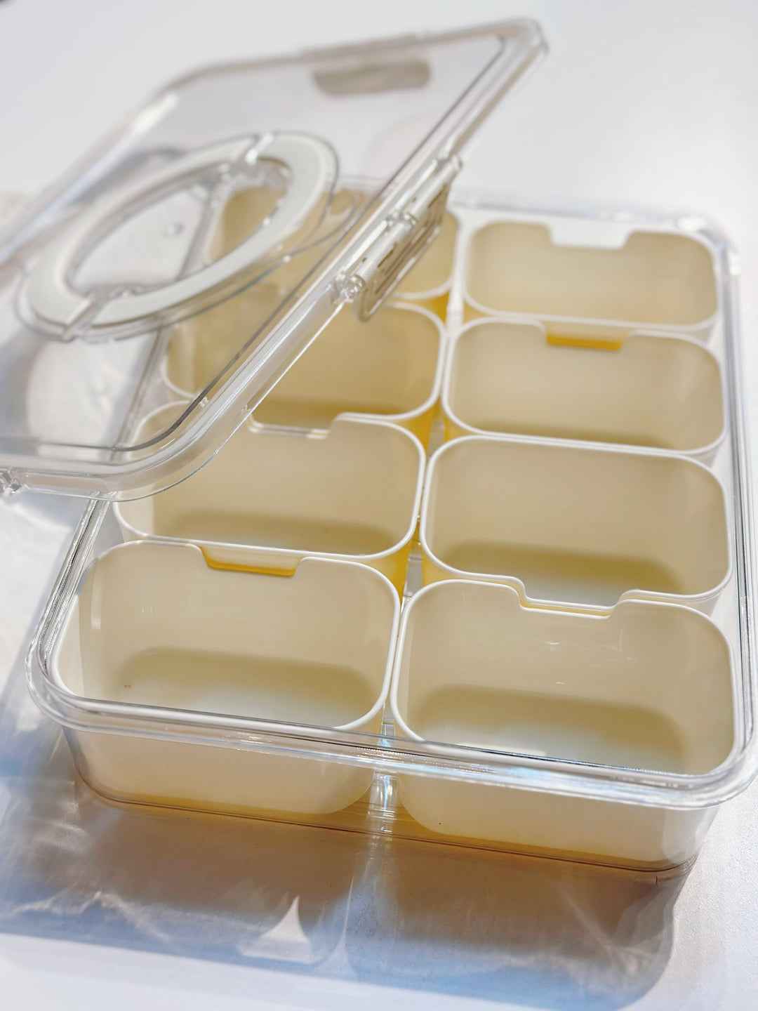 Multifunctional ClearView Organizer (2 options)