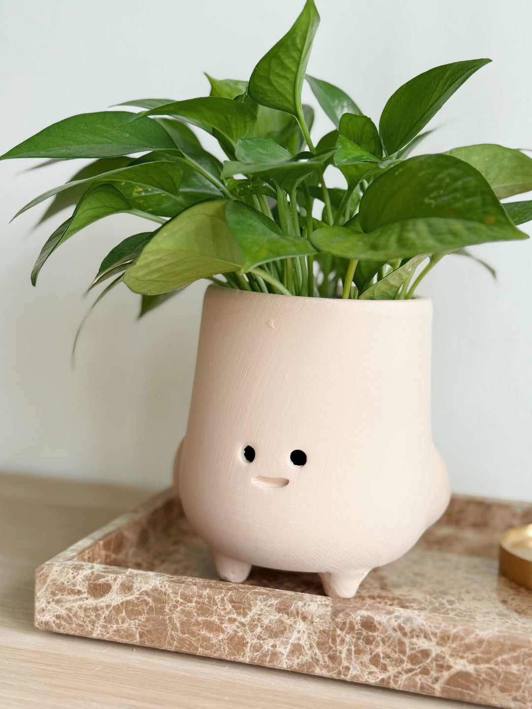 Cheeky Sprout Pot