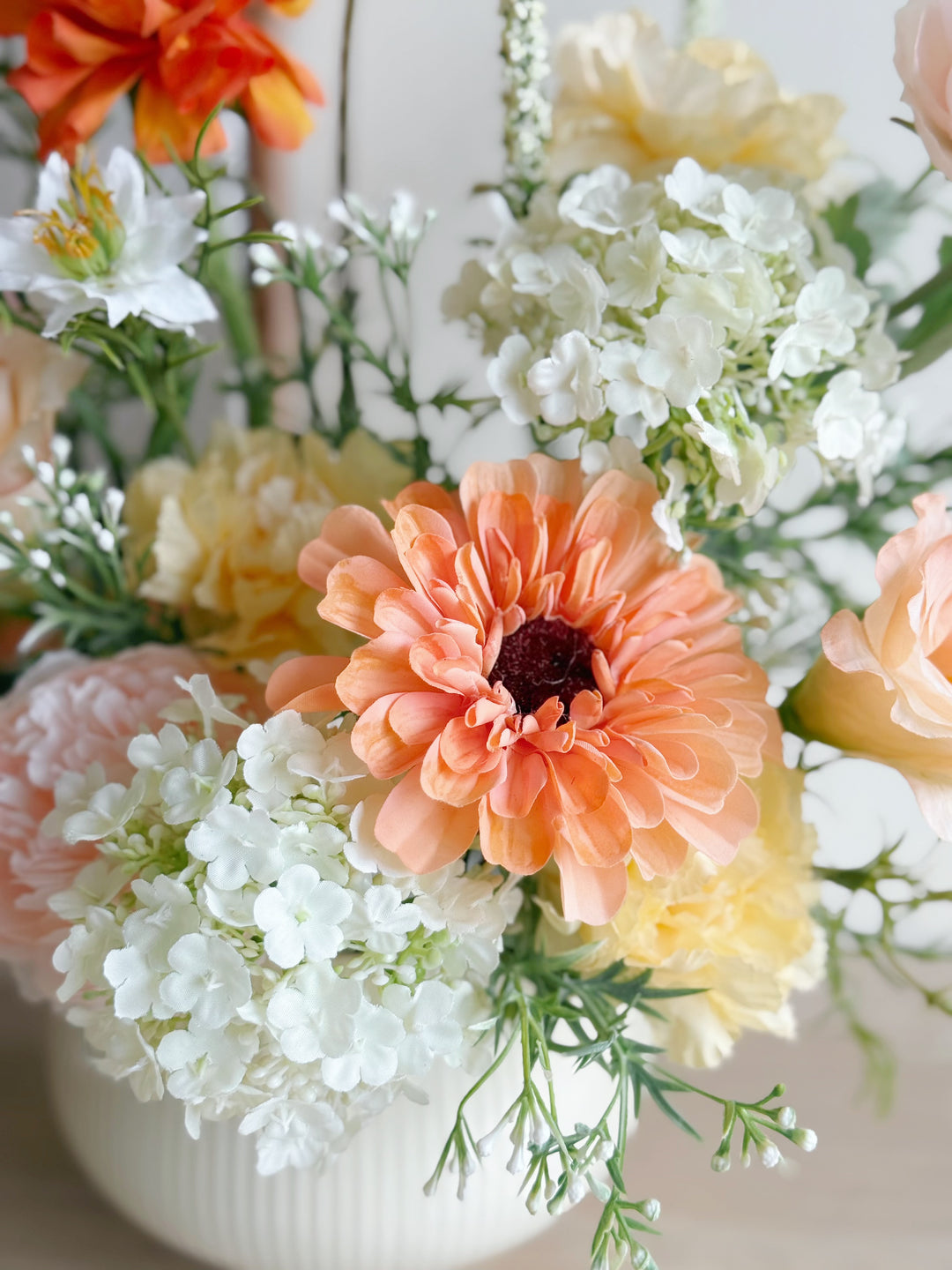 Apricot Daydream in the Pot (1-sided)