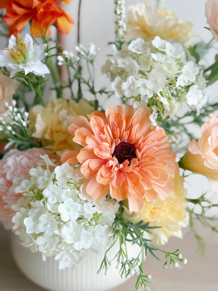 Apricot Daydream in the Pot (1-sided)