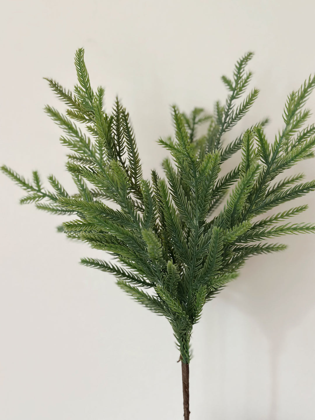 Everpine Botanical Stem