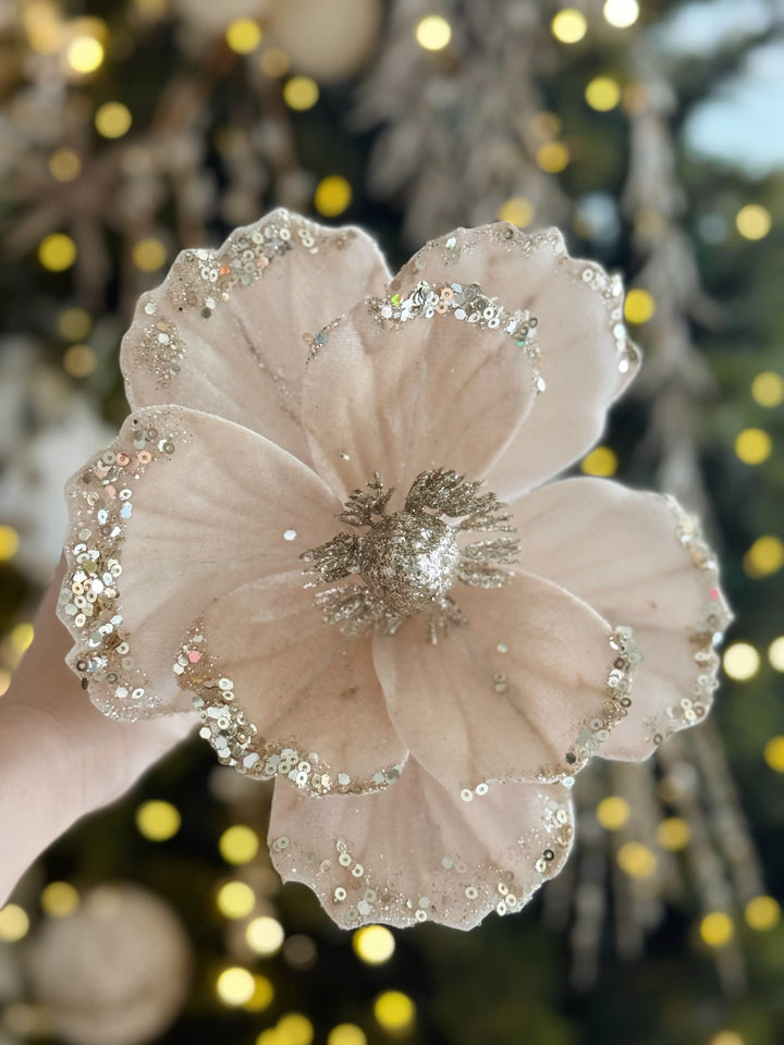 Champagne Blush Velvet Poinsettia