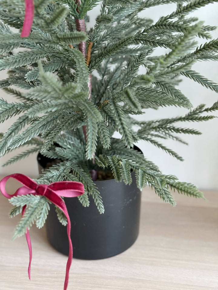 Nordic Calm Faux Pine Tree (2 options)