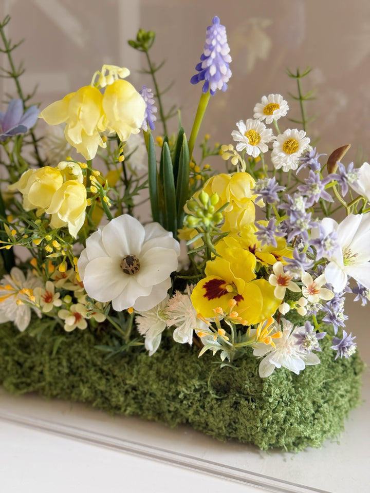 The Garden Box — Sunny Soleil