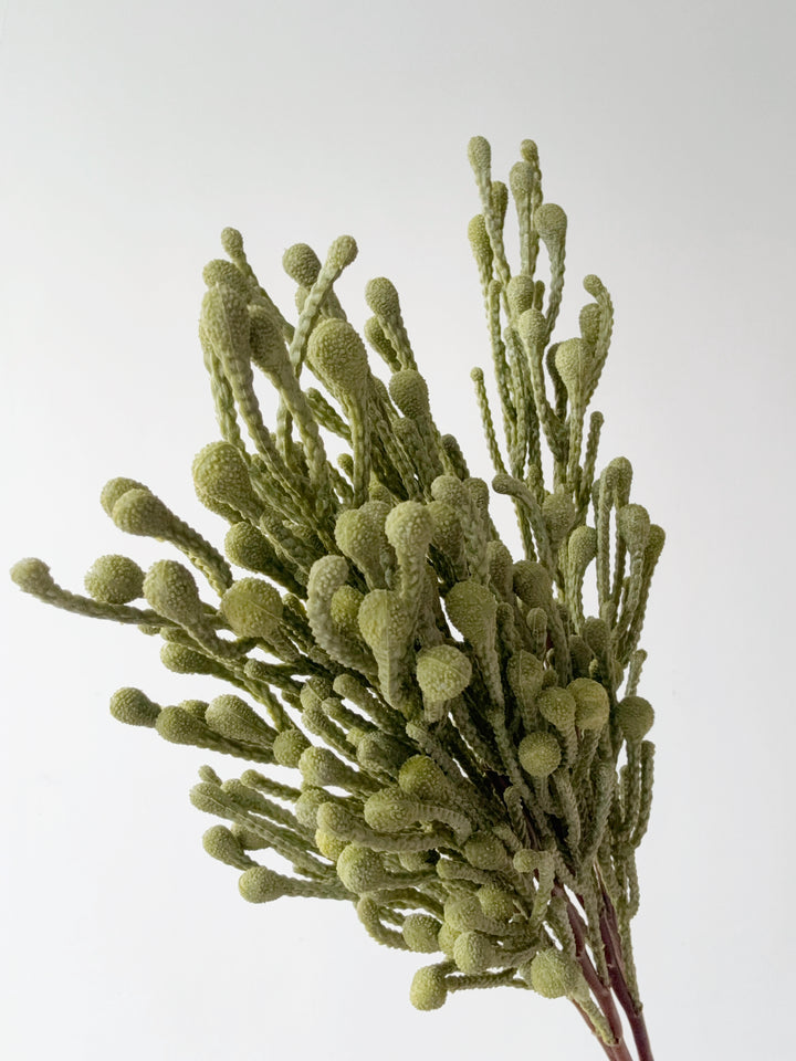 Spray Brunia Faux Branch