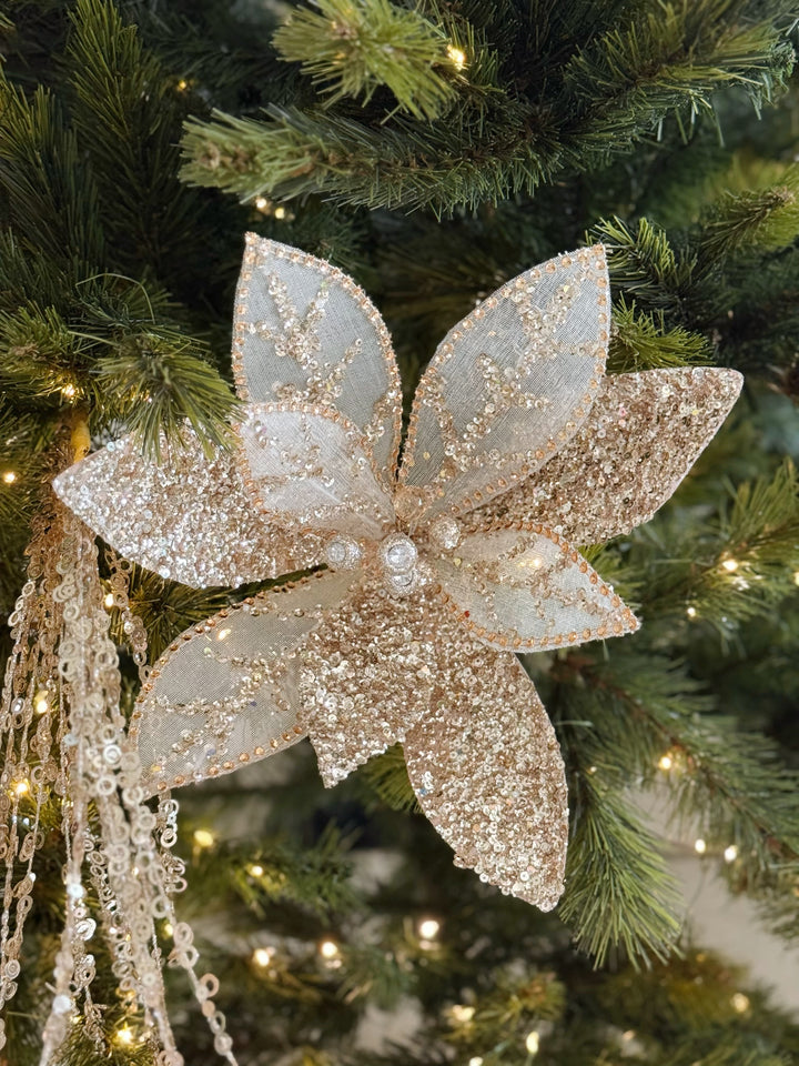 Champagne Grande Radiance Bloom