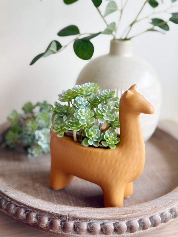 Mini Faux Succulent Picks (6 options)