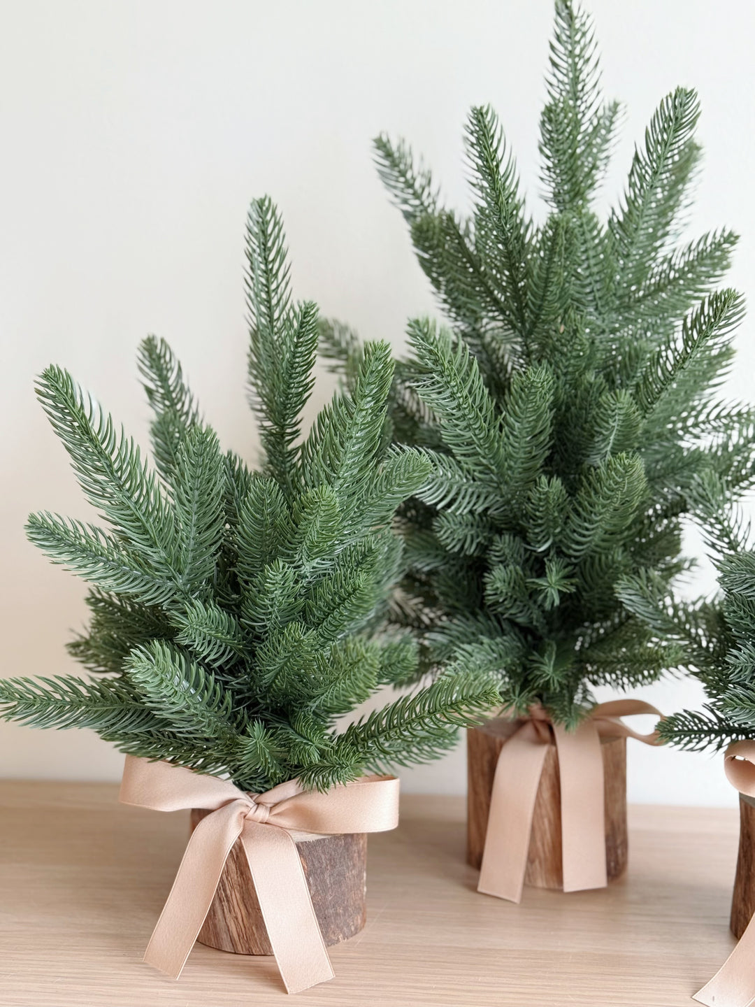 PRE-ORDER (27/11-3/12): Everwood Petite Trees (3 sizes)