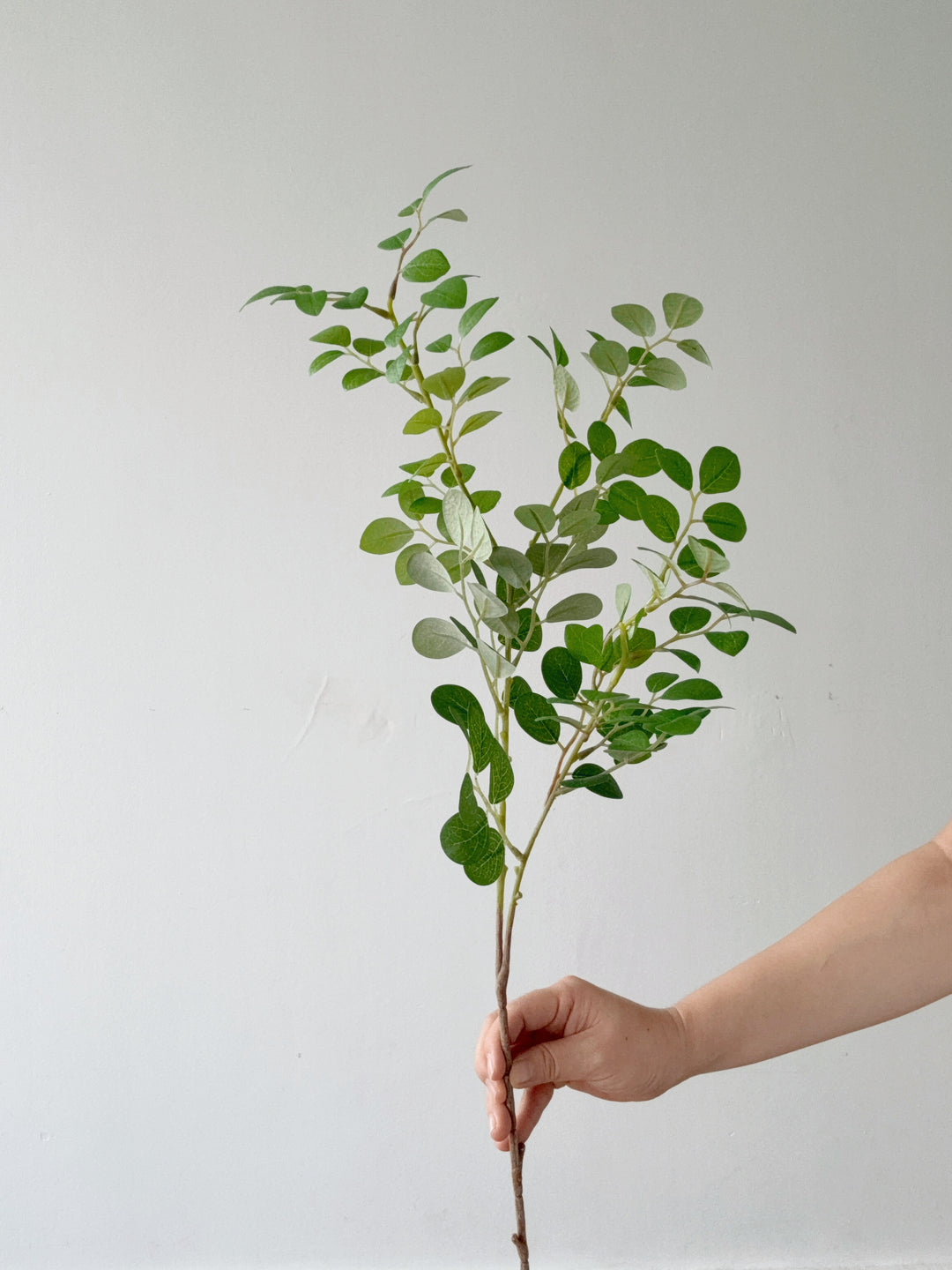 Faux Green Chinese Fringe Flower Branch