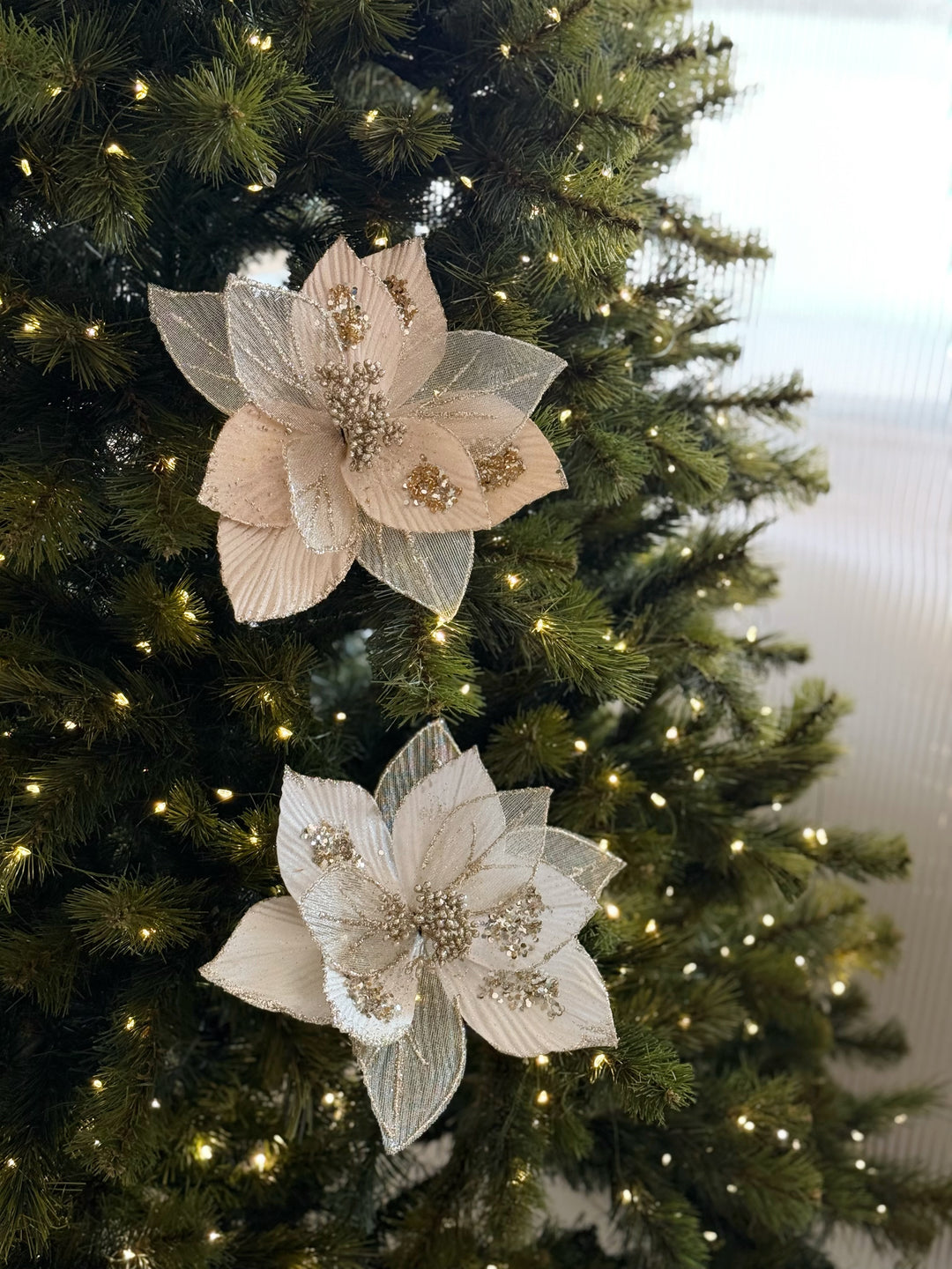 Celeste Bloom Poinsettia (2 colour options)
