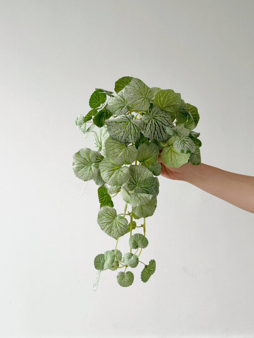 Faux Strawberry Begonia Vine