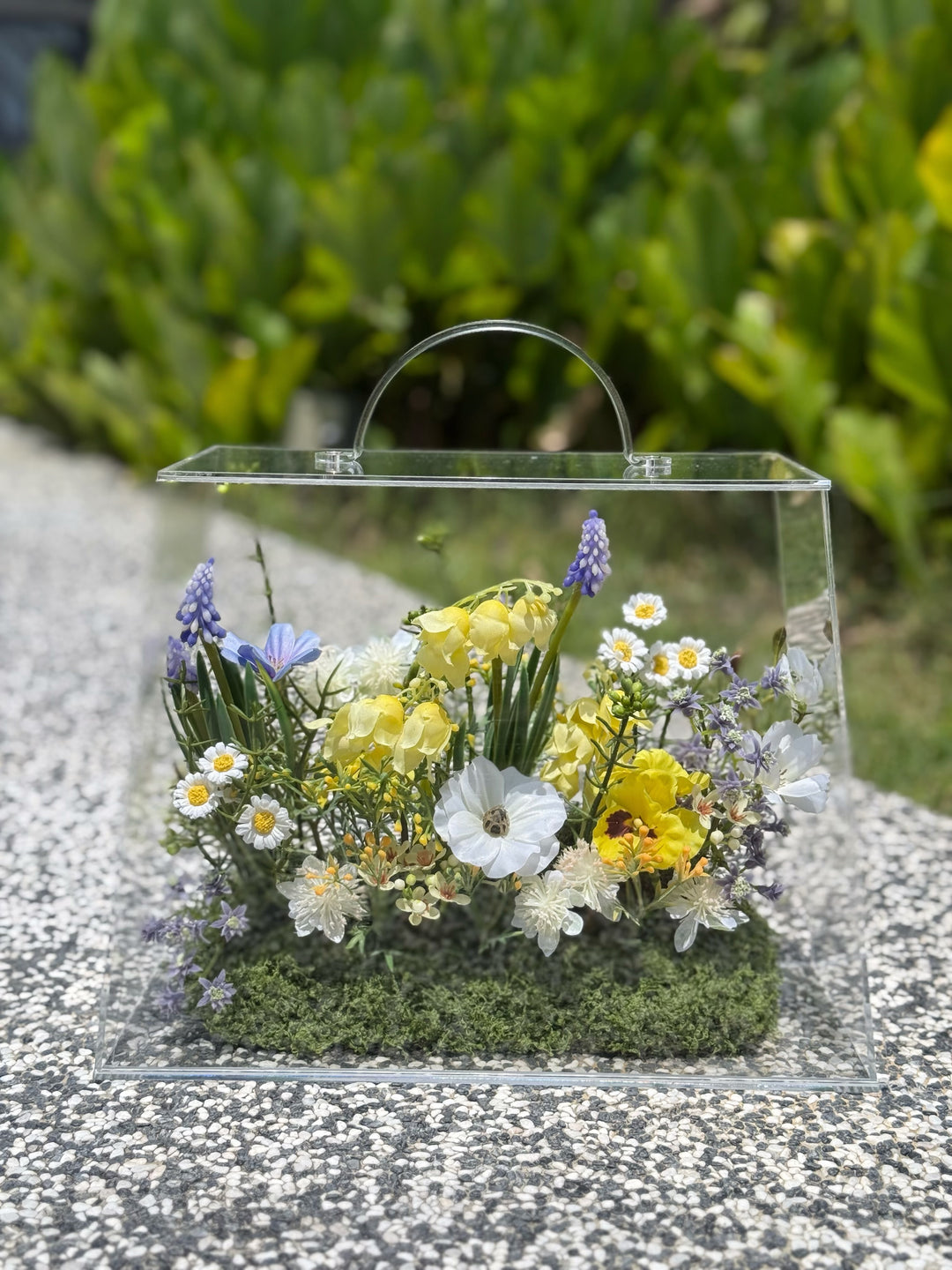 The Garden Box — Sunny Soleil