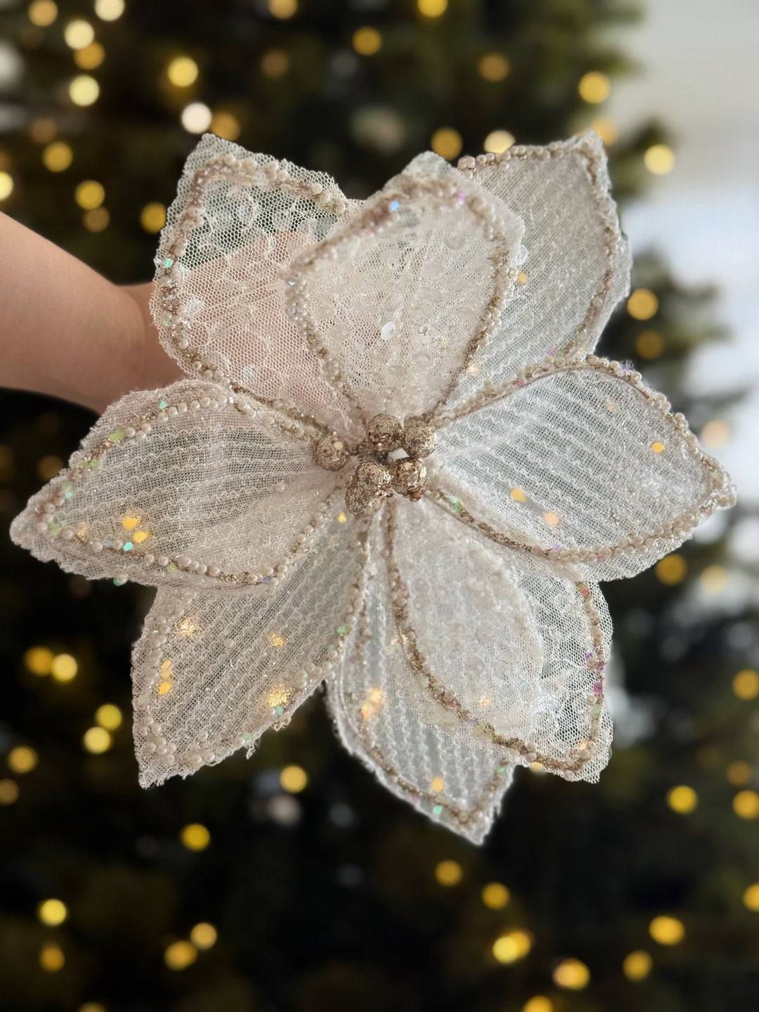 PRE-ORDER (19-23 Oct): Sheer Shimmer Poinsettia Collection (2 colours)