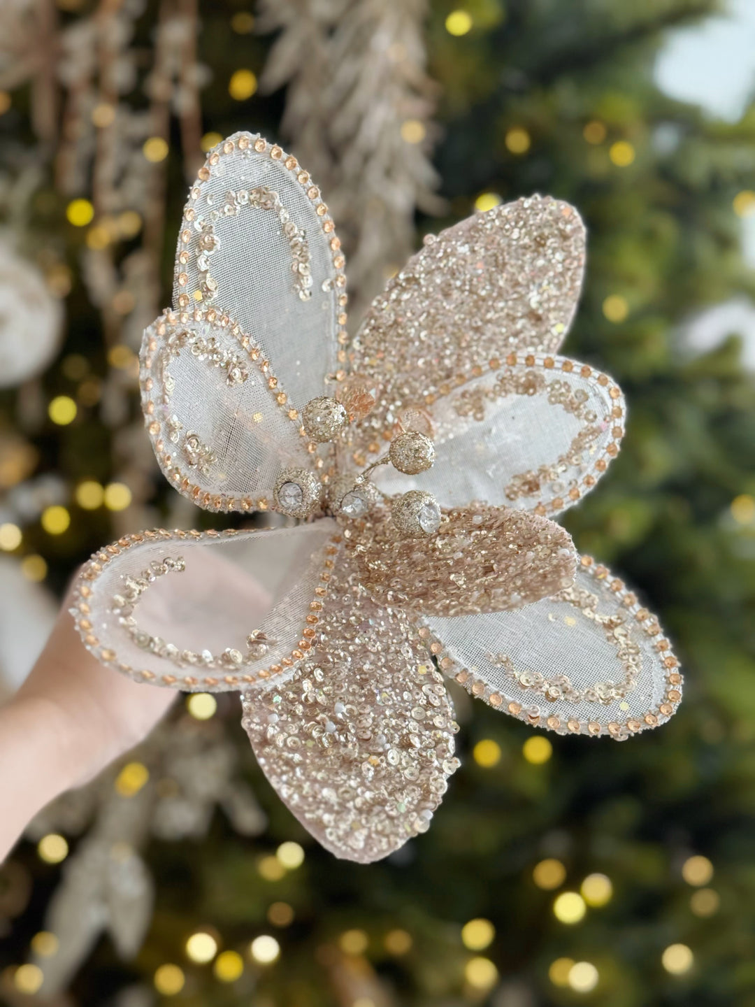 Champagne Radiance Petal Bloom