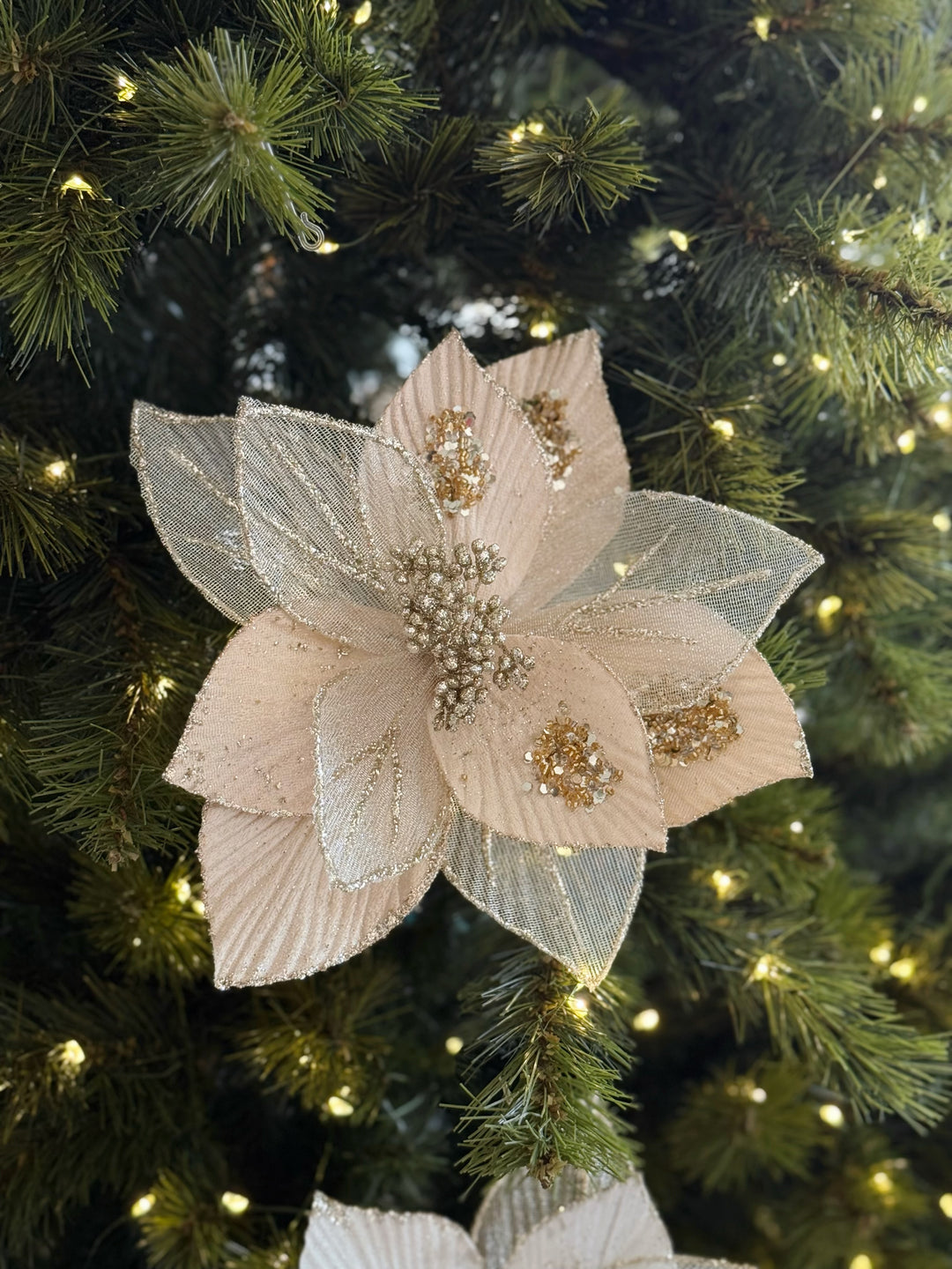 Celeste Bloom Poinsettia (2 colour options)