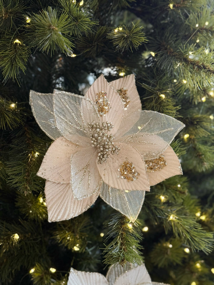 Celeste Bloom Poinsettia (2 colour options)