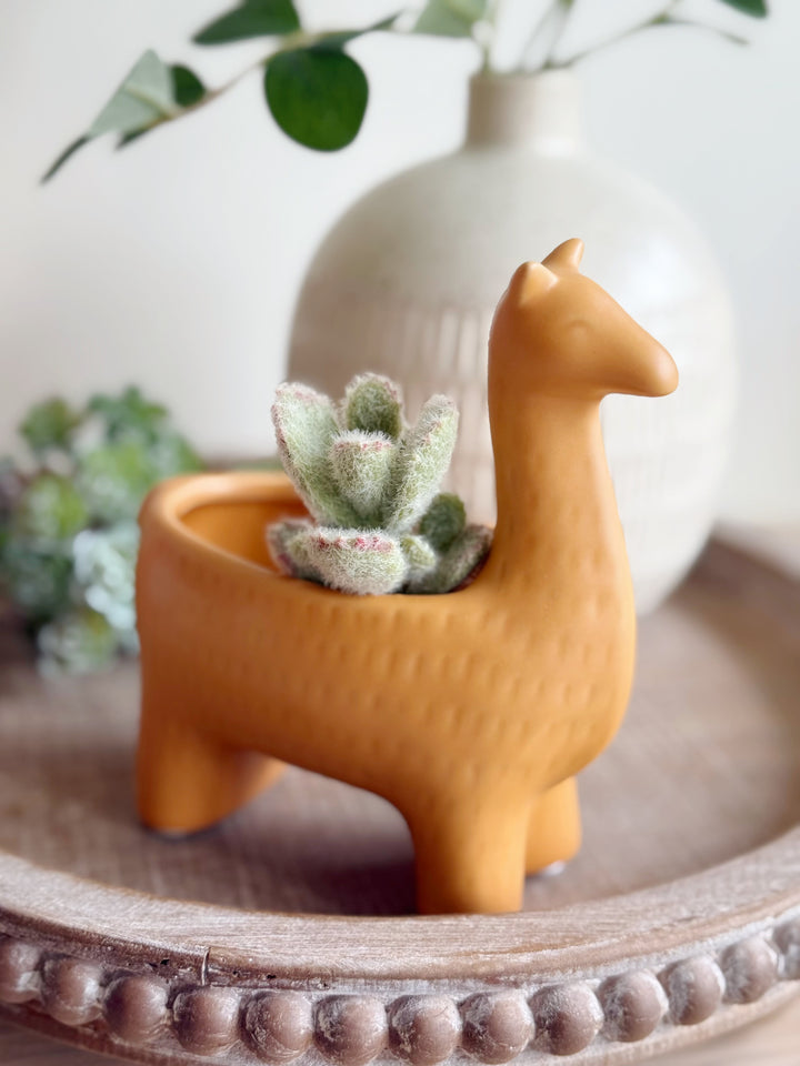 Mini Faux Succulent Picks (6 options)