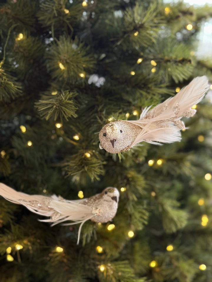 Champagne Shimmer Clip-On Bird Ornaments (Set of 2)