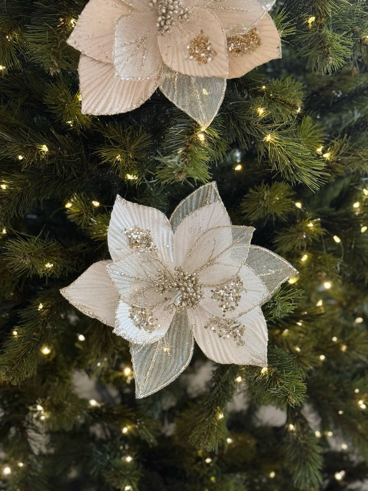 Celeste Bloom Poinsettia (2 colour options)