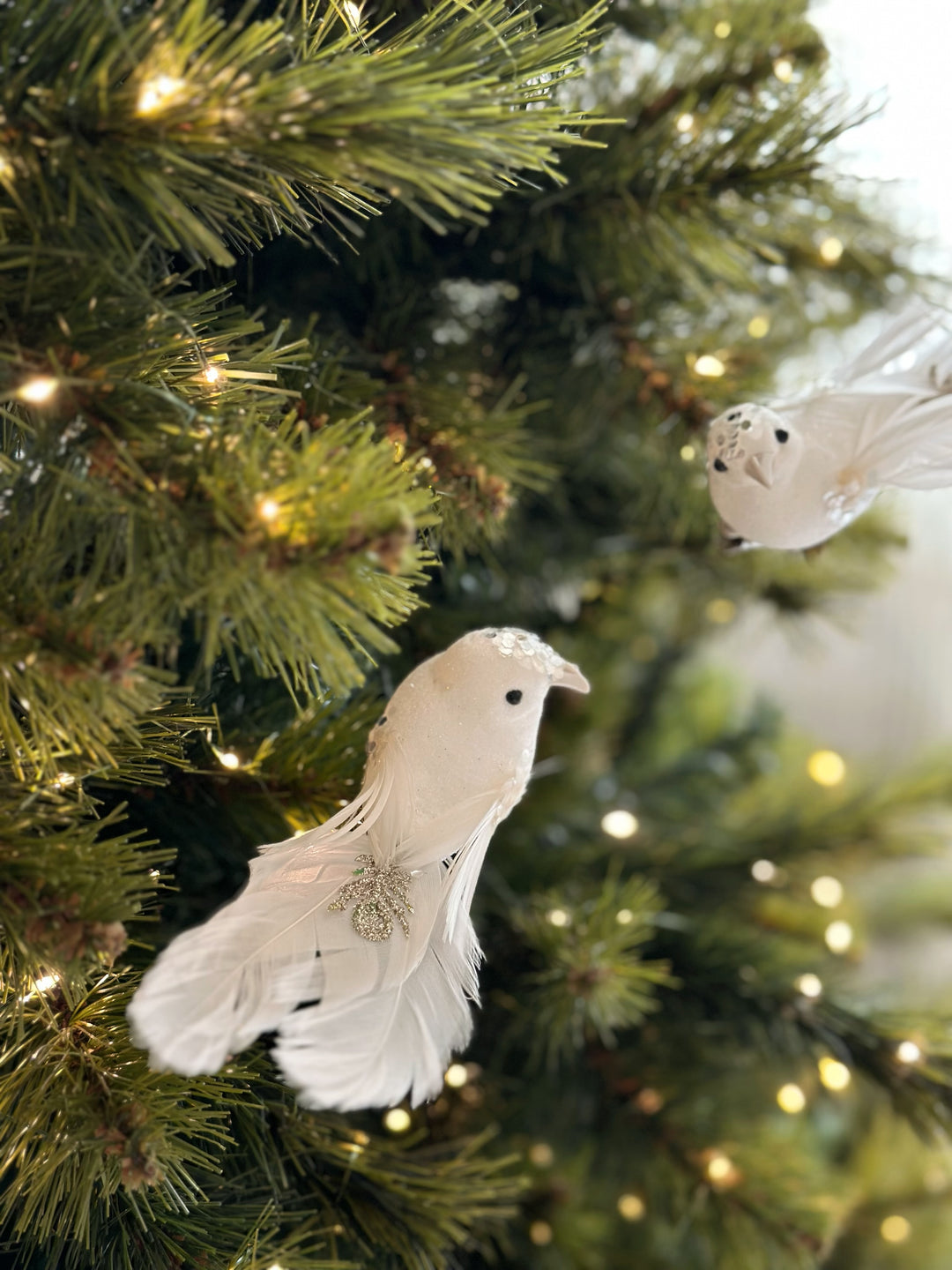 PRE-ORDER (15-21 Oct): Snowy Elegance Bird Clip Ornaments (pair)