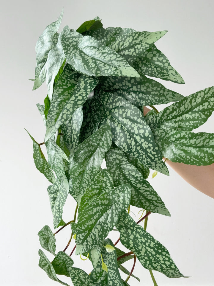 Faux Polka Dot Begonia Vine - 98cm