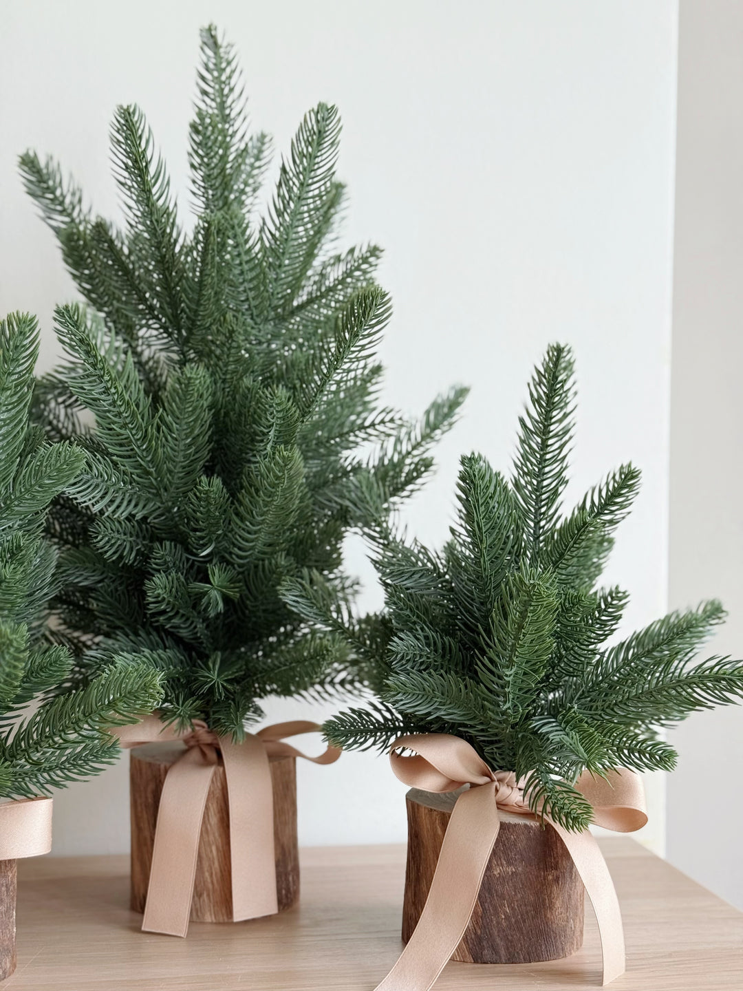 PRE-ORDER (27/11-3/12): Everwood Petite Trees (3 sizes)