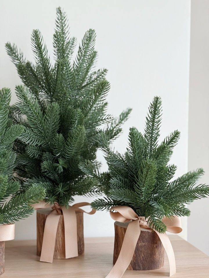 PRE-ORDER (27/11-3/12): Everwood Petite Trees (3 sizes)