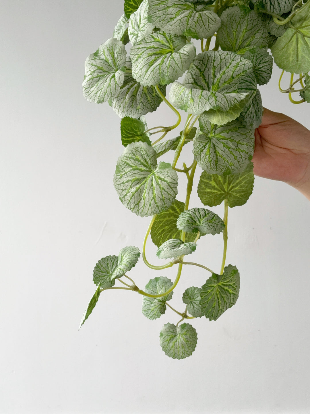 Faux Strawberry Begonia Vine