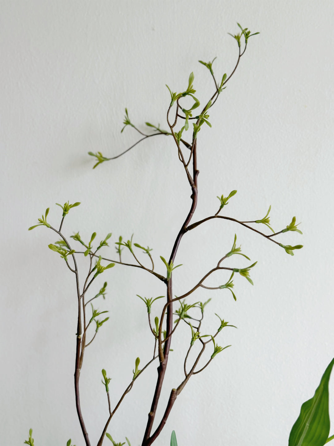 Woodland Muse in the Vase (1-sided)