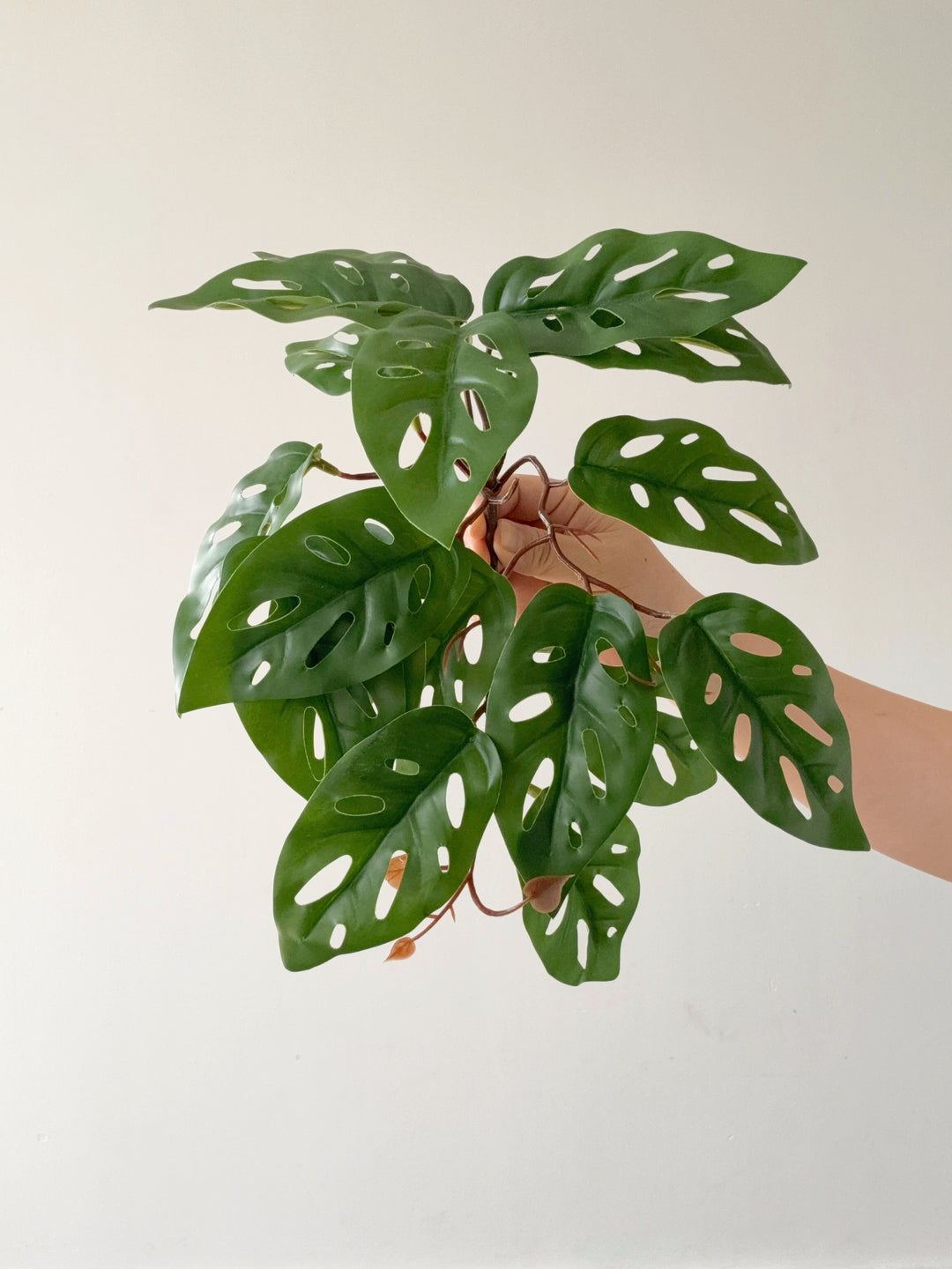 Faux Monstera Adansonii Vine
