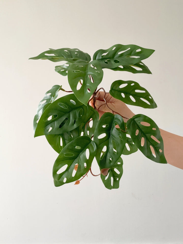 Faux Monstera Adansonii Vine