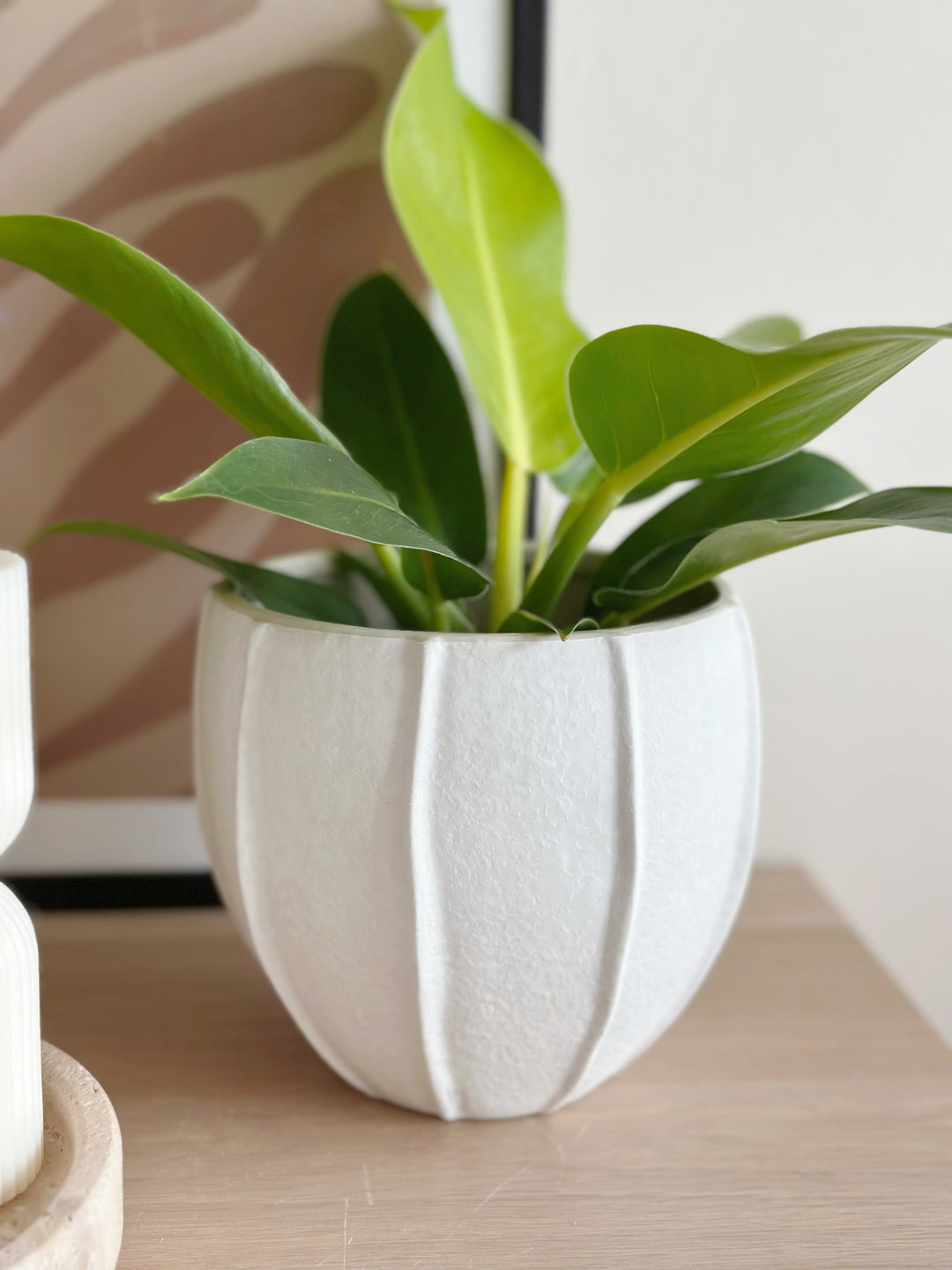 Coco Husk Flowerpot