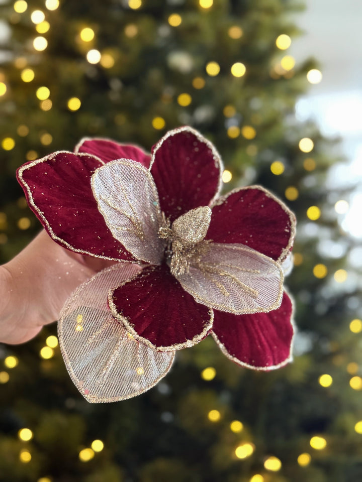 PRE-ORDER (19-23 Oct): Wine & Champagne Magnolia Christmas Flower (2 options)