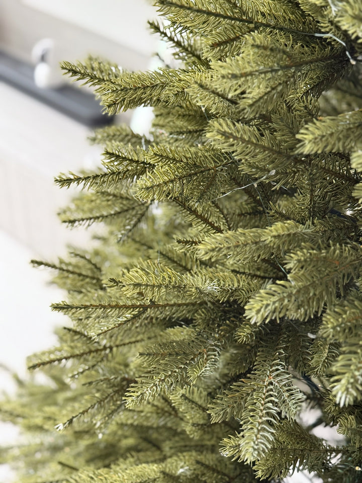PRE-ORDER (24-28 Nov): Evergreen Luxe Nordmann Fir Tree (2 sizes)