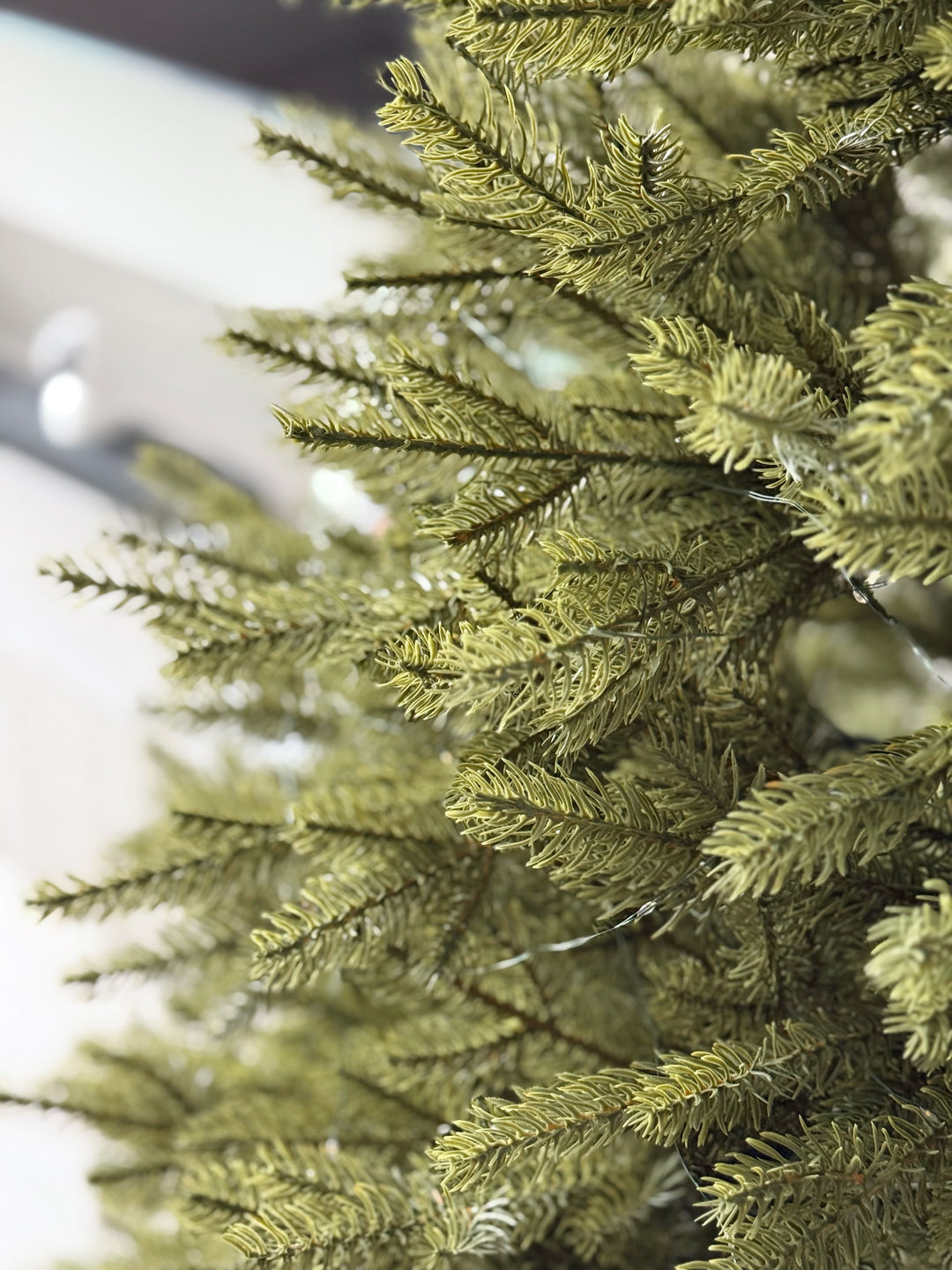 PRE-ORDER (24-28 Nov): Evergreen Luxe Nordmann Fir Tree (2 sizes)