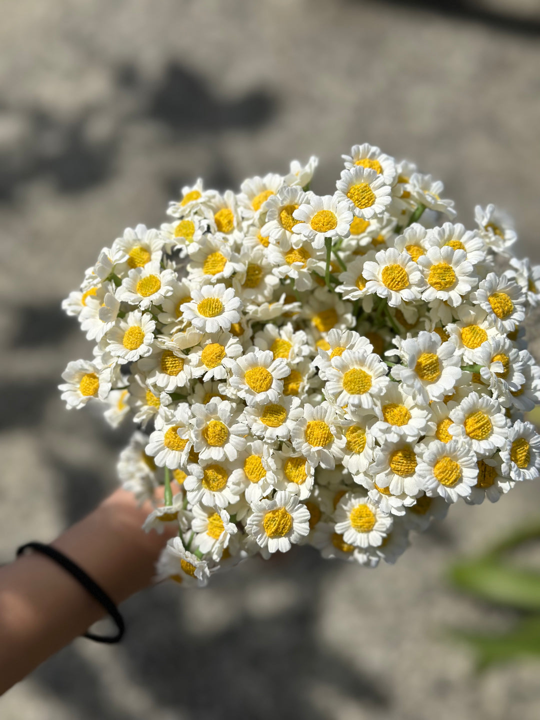 White Chamomile Flower Bundle (60 flowers)